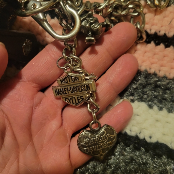 Harley-Davidson Black and Silver Women's Bag - Picture 7 of 11